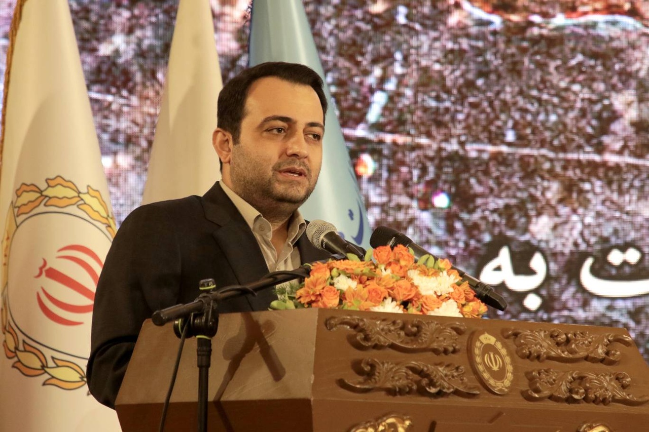 مدیرعامل بانک ملی ایران: