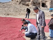 مشارکت مردم، محور معرفی و جهانی‌شدن روستای افین
