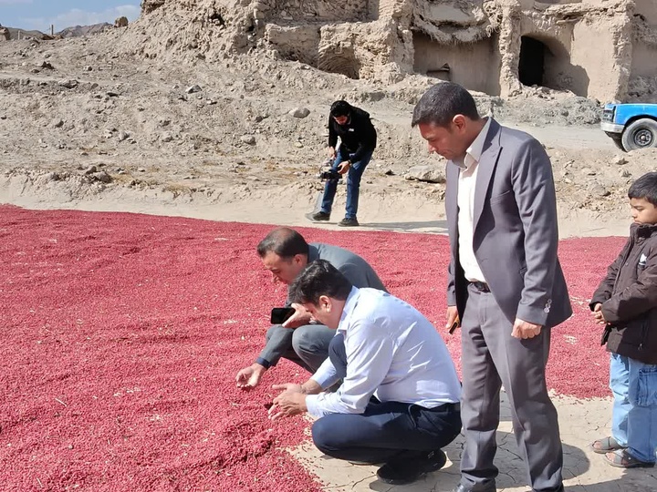 مشارکت مردم، محور معرفی و جهانی‌شدن روستای افین