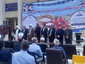 جشنواره شکرگزاری برداشت برنج و انار سیروان برگزار شد/ گامی برای معرفی ظرفیت‌های بومی و توسعه گردشگری ایلام