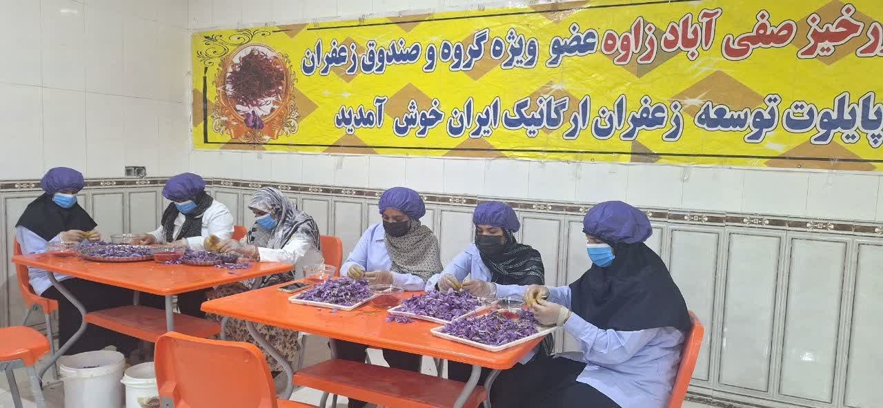 برگزاری تور گردشگری زعفران در شهرستان زاوه با حضور کمپرداران و علاقه‌مندان به طبیعت‌گردی