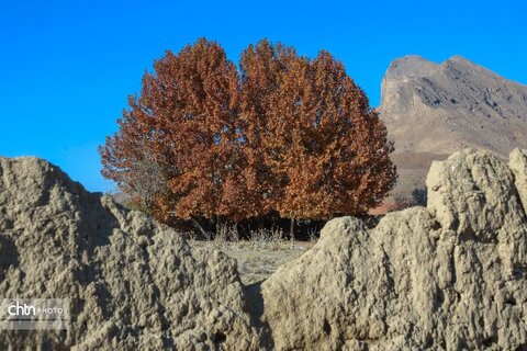 پاییز در روستای خورهه محلات