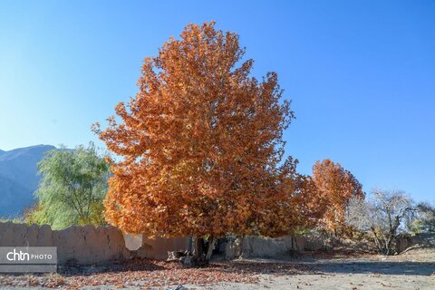پاییز در روستای خورهه محلات