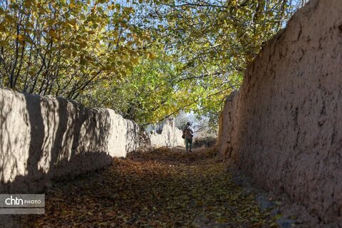 پاییز در روستای خورهه محلات