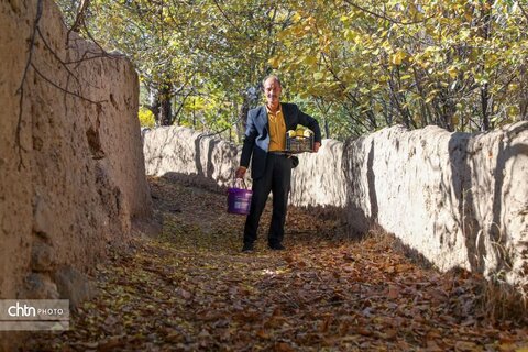 پاییز در روستای خورهه محلات