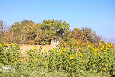 پاییز در روستای خورهه محلات