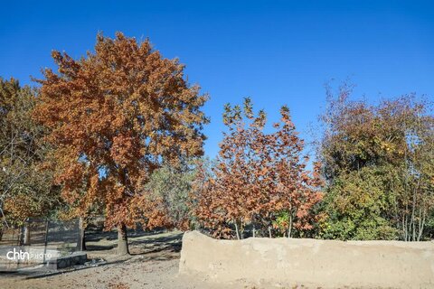 پاییز در روستای خورهه محلات