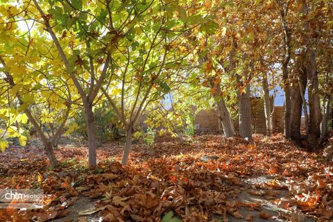 پاییز در روستای خورهه محلات
