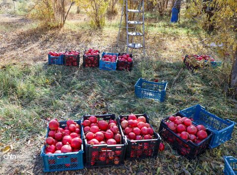 پاییز در روستای خورهه محلات