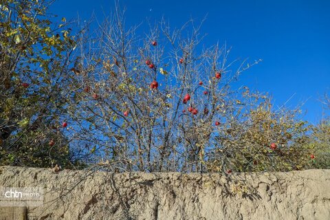 پاییز در روستای خورهه محلات