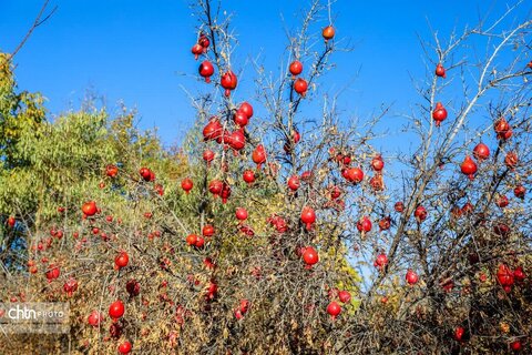 پاییز در روستای خورهه محلات