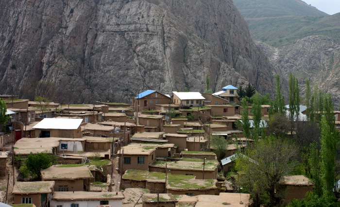 روستای هدف گردشگری هیر الموت، قطب تولید زغال‌اخته
