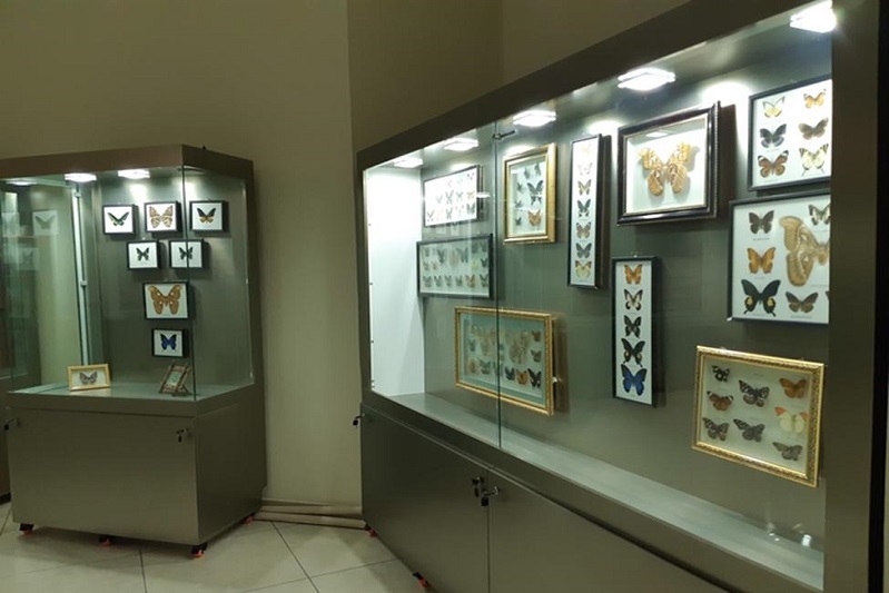 ثبت موزه تاریخ طبیعی و علم و فناوری ارومیه در کمیته بین‌المللی موزه‌ها