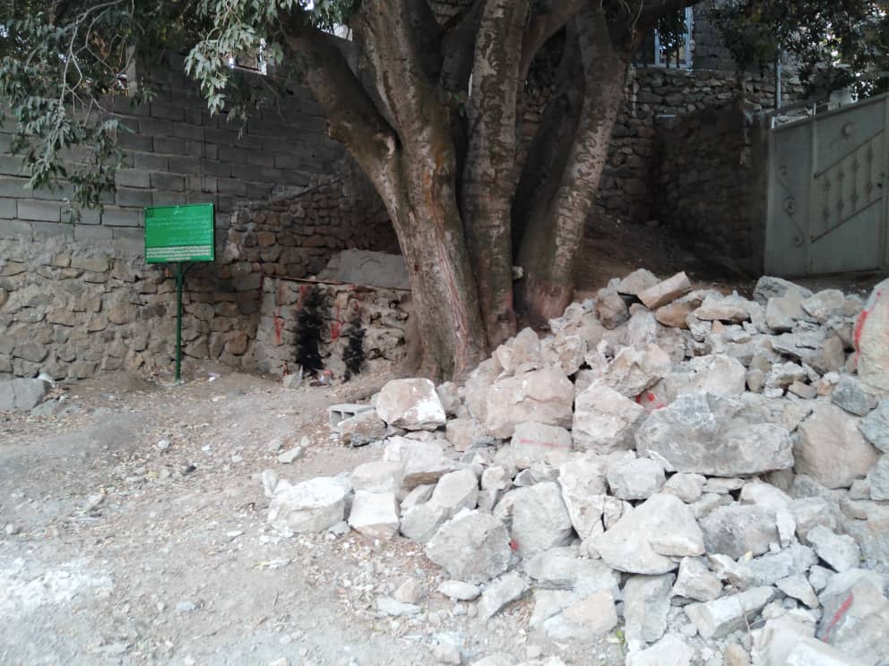 ساخت‌و‌ساز غیرمجاز در عرصه و حریم درخت دروان در البرز تخریب شد