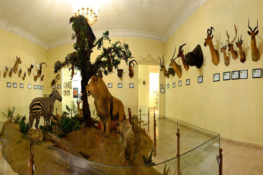 موزه حیات وحش و آثار طبیعی هفت‌چنار تهران