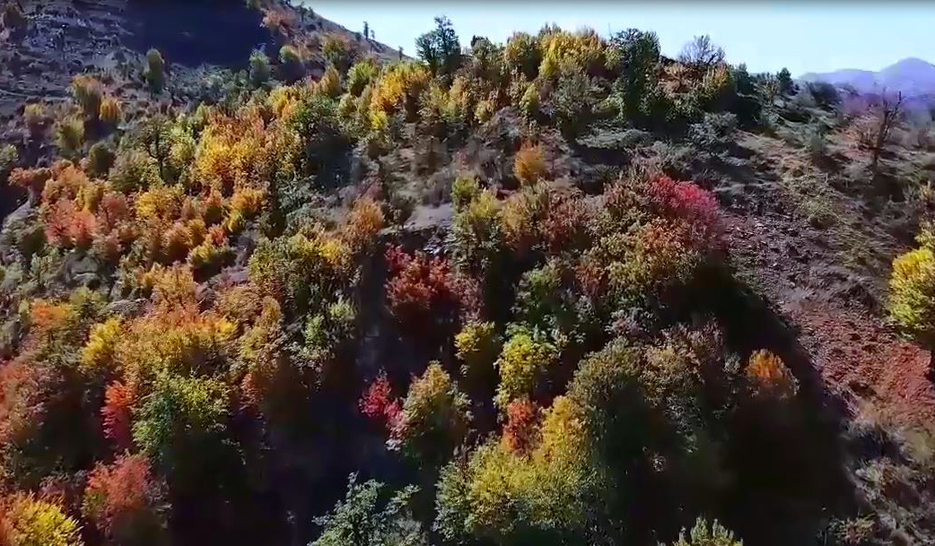 طبیعت  زیبای النگ رامیان