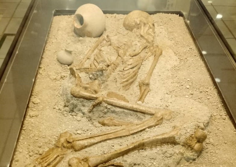 نخستین تالار تدفین شمال کشور در موزه بابل گشایش یافت