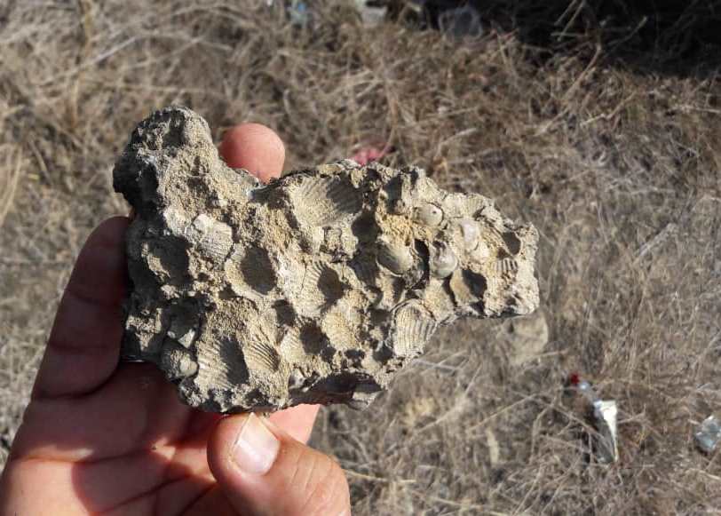 بقایای دست‌ساخته‌های سنگی عصر پارینه‌سنگی در تخت رستم نکا کشف شد