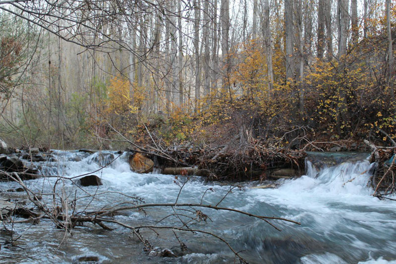 روستای عباس‌آباد، محور توسعه گردشگری روستایی در گلپایگان