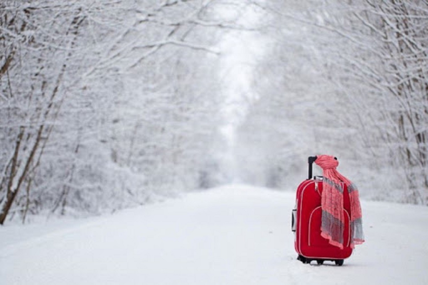 مسابقه‌ عکس سفر زمستانه از نگاه گردشگر در دماوند برگزار می‌شود