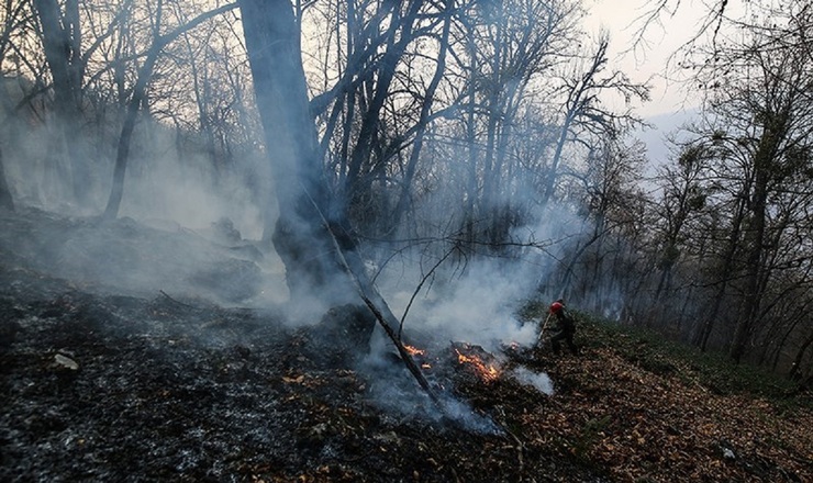 پارک ملی گلستان دچار آتش‌سوزی شد/ کنترل آتش‌سوزی با تلاش نیروهای امدادی