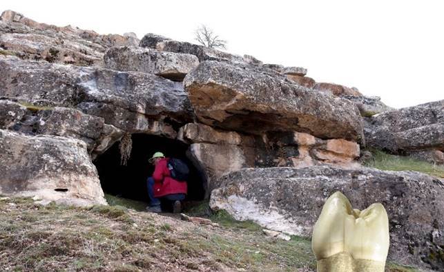 کشف ابزارهای سنگی انسان نئاندرتال و سنگواره شیر و کرگدن در غار وزمه کرمانشاه