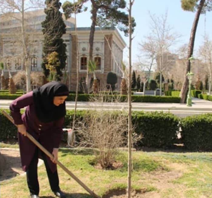  کاشت 60 اصله نهال درخت و درختچه زینتی در کاخ گلستان