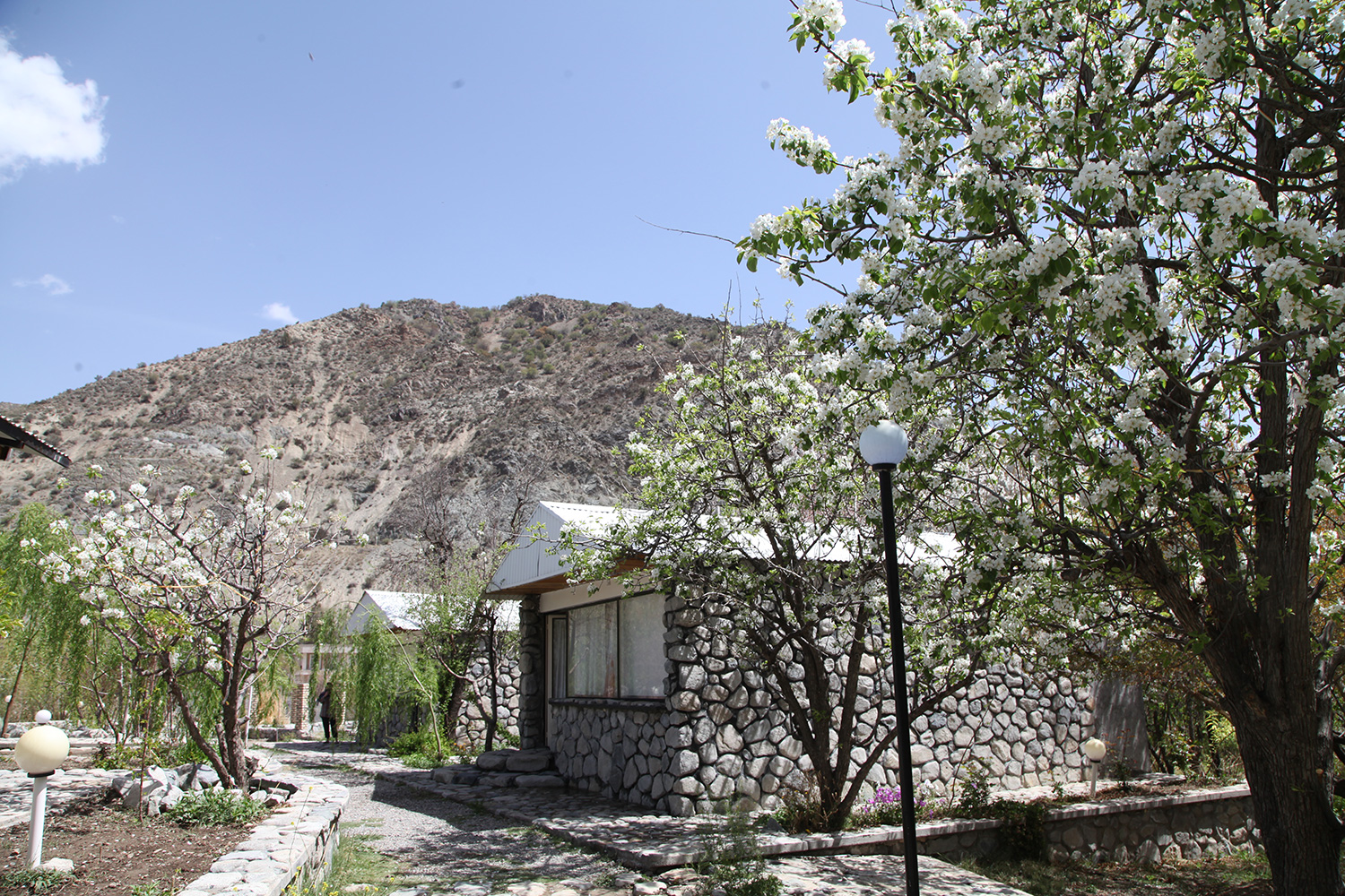 دَلفارد روستایی مدیترانه ای در کرمان