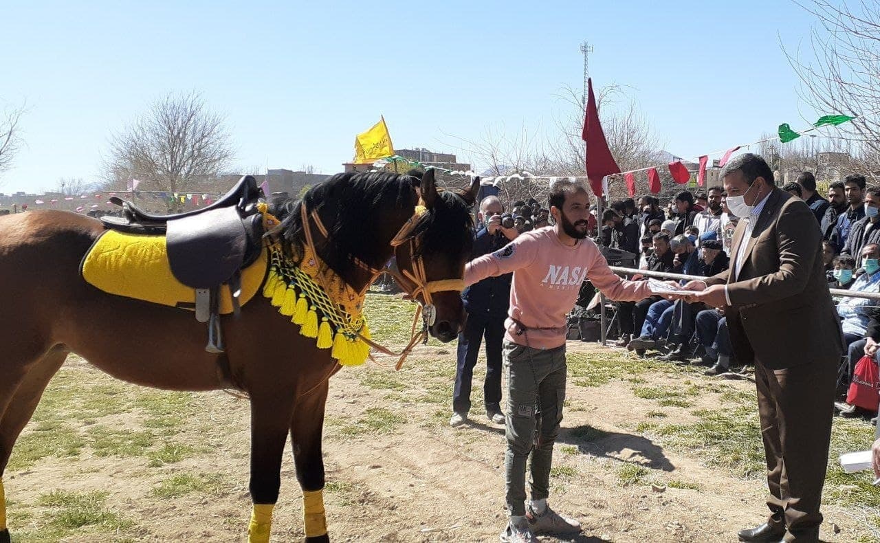 برگزاری همایش اسب‌سواری در استان مرکزی