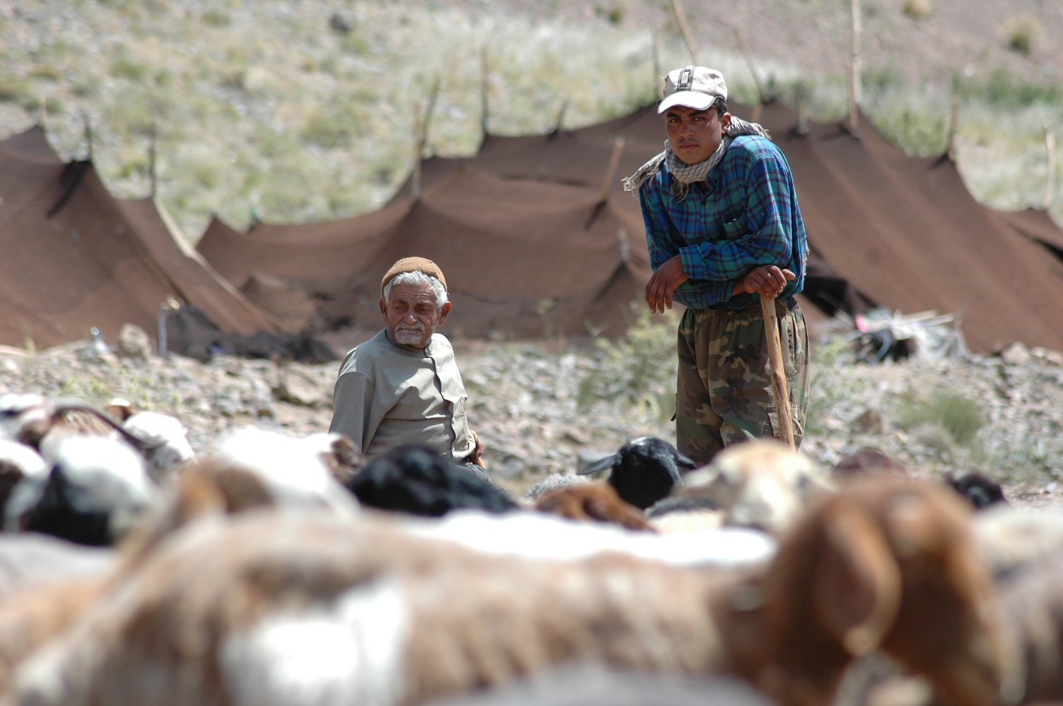 پرداخت 12 میلیارد ریال تسهیلات اشتغال پایدار روستایی و عشایری در استان سمنان