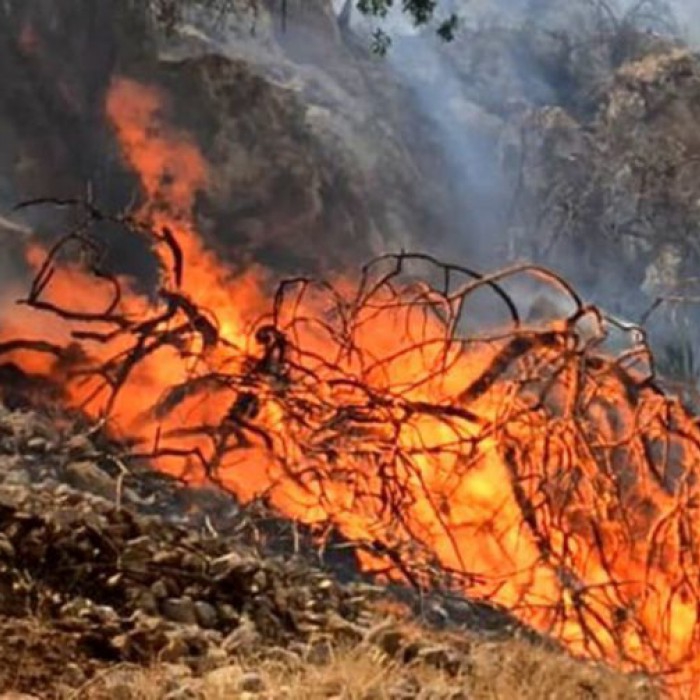 استقرار ۳ فروند بالگرد برای مهار آتش‌سوزی در مناطق گردشگری باشت