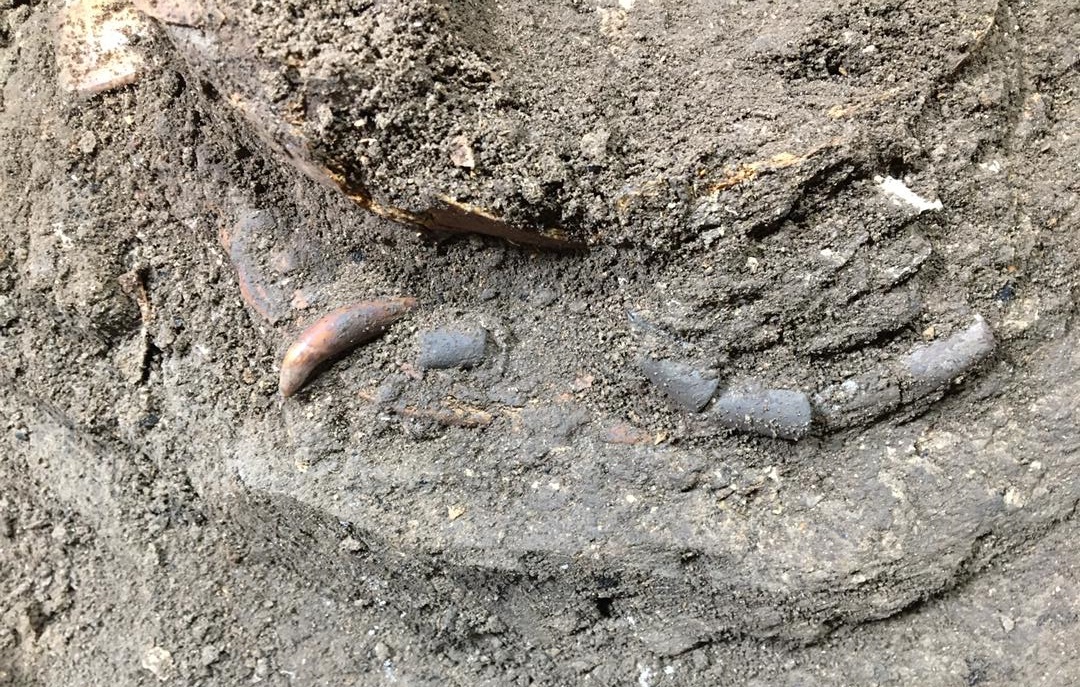 کشف اسکلت 12هزار ساله کودکی که نشسته دفن شده است