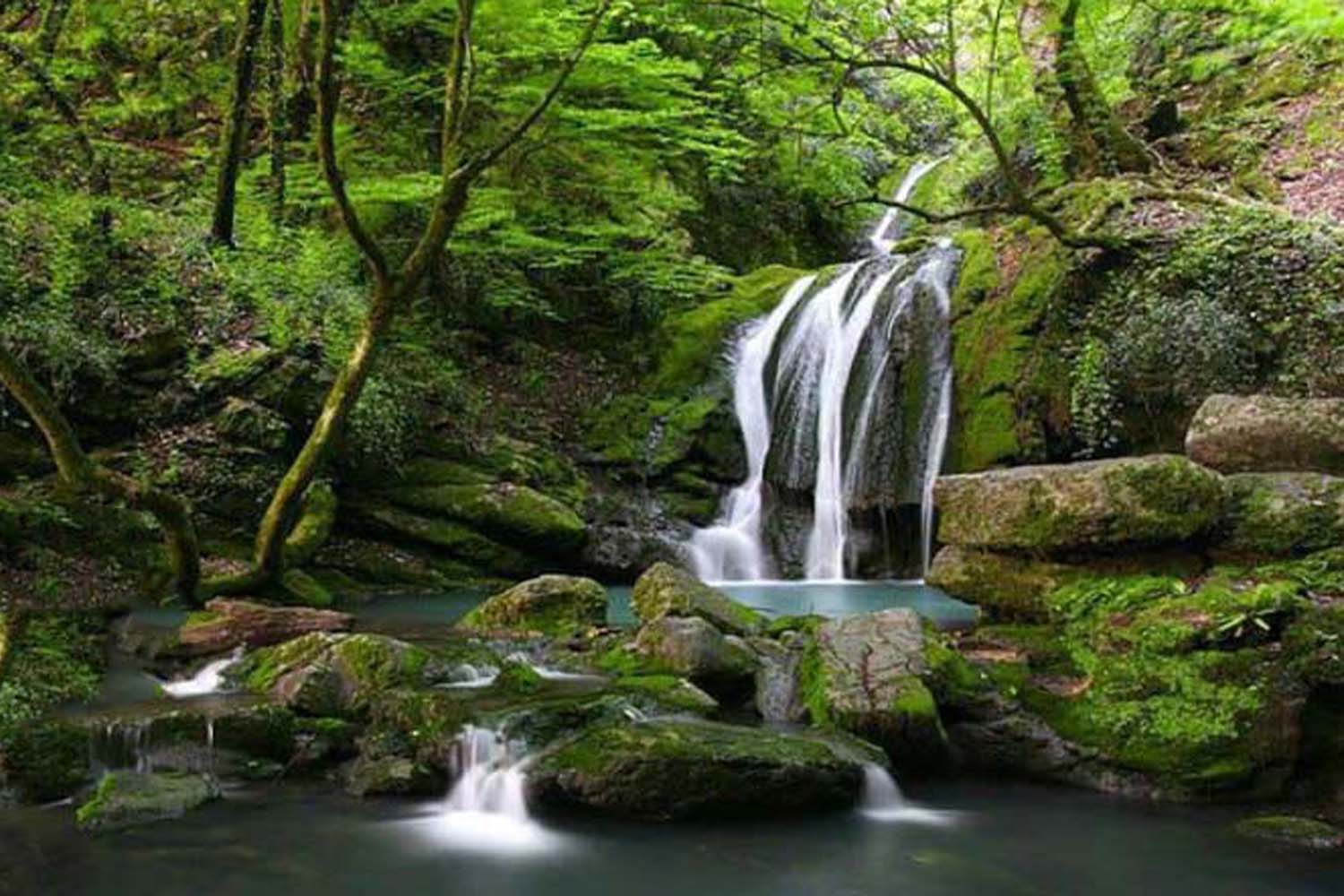  آبشارهای هفت‌گانه‌ شیرآباد،نگینی در دل جنگل