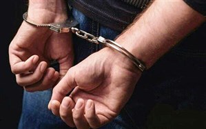 دستگیری حفاران غیرمجاز در شهرستان سلسله