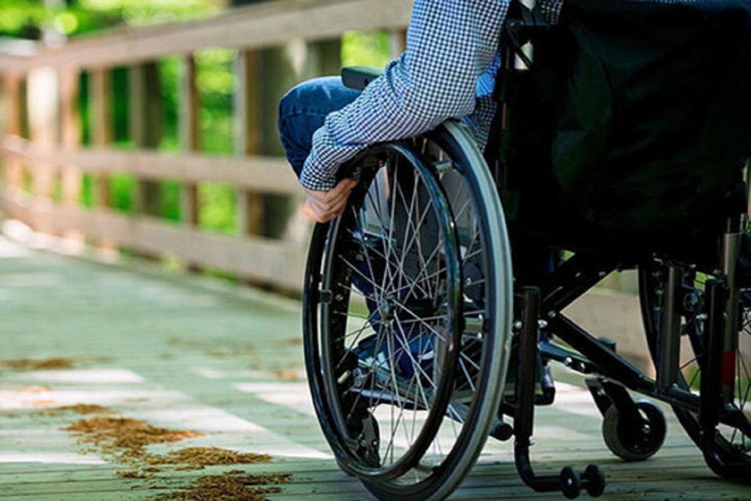 نشست گردشگری برای افراد دارای معلولیت در دماوند برگزار می‌شود
