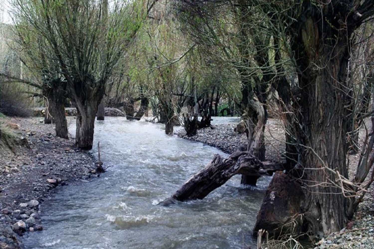 طرح پاکسازی حاشیه رودخانه تیزآب دماوند اجرا می‌شود