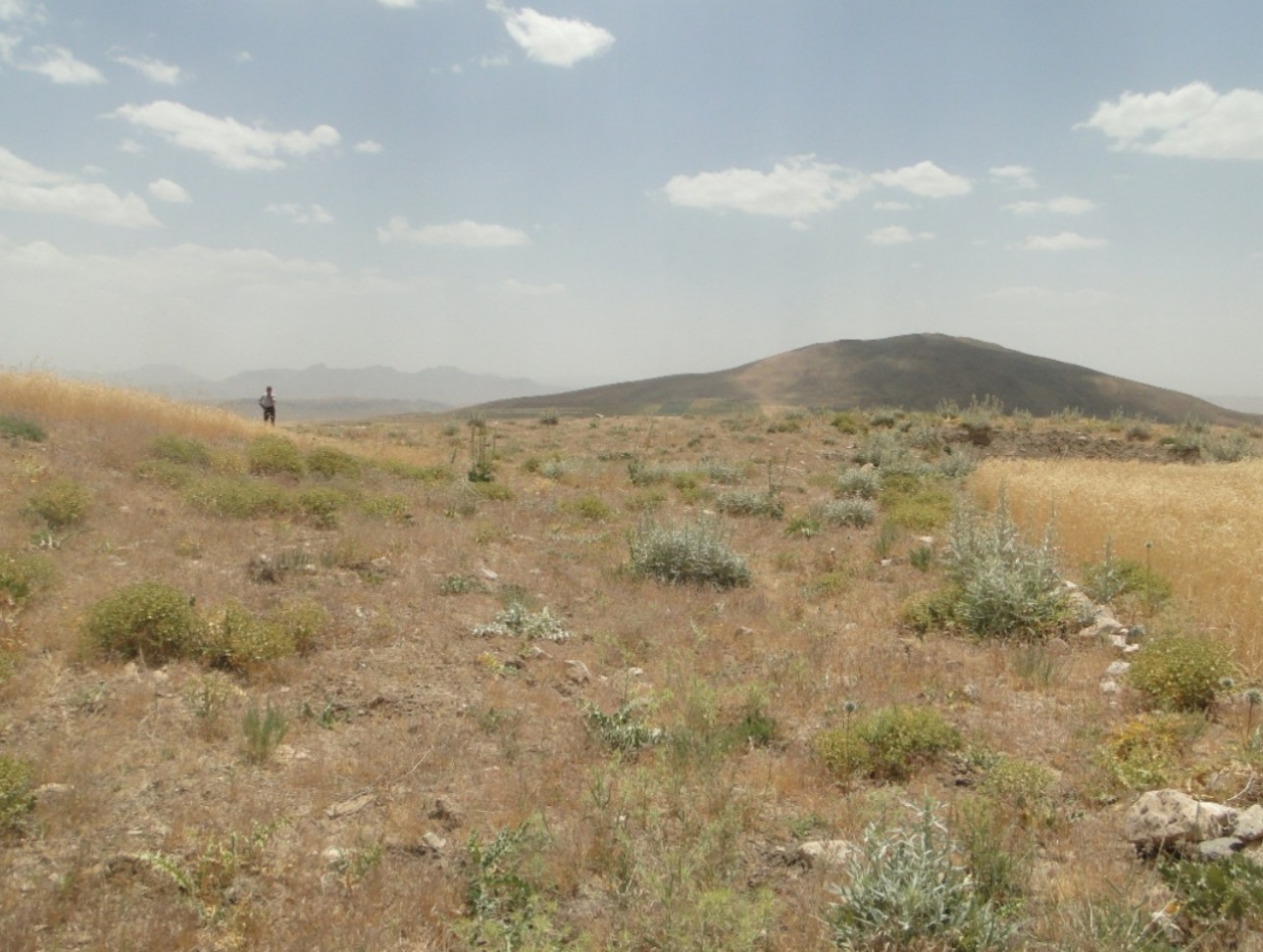تشکیل جلسه تعیین حریم آثار تاریخی لرستان