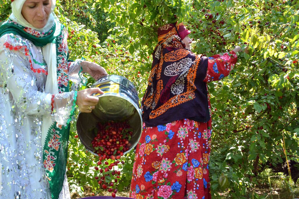 صدور نخستین پروانه‌های فعالیت گردشگری کشاورزی در تبریز، مراغه، مرند و جلفا
