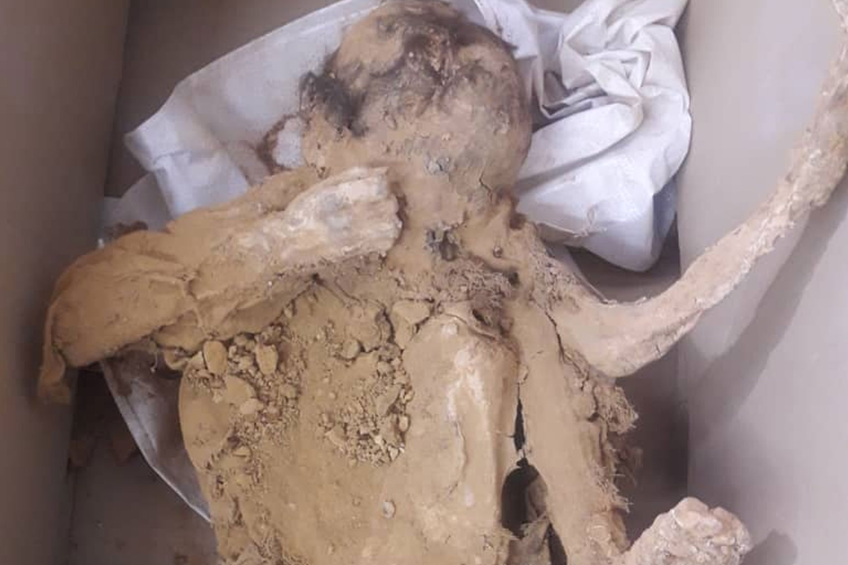 روایتی از کشف اجساد ۲ معدن‌کار صفوی در معدن لاپلنگ اردستان