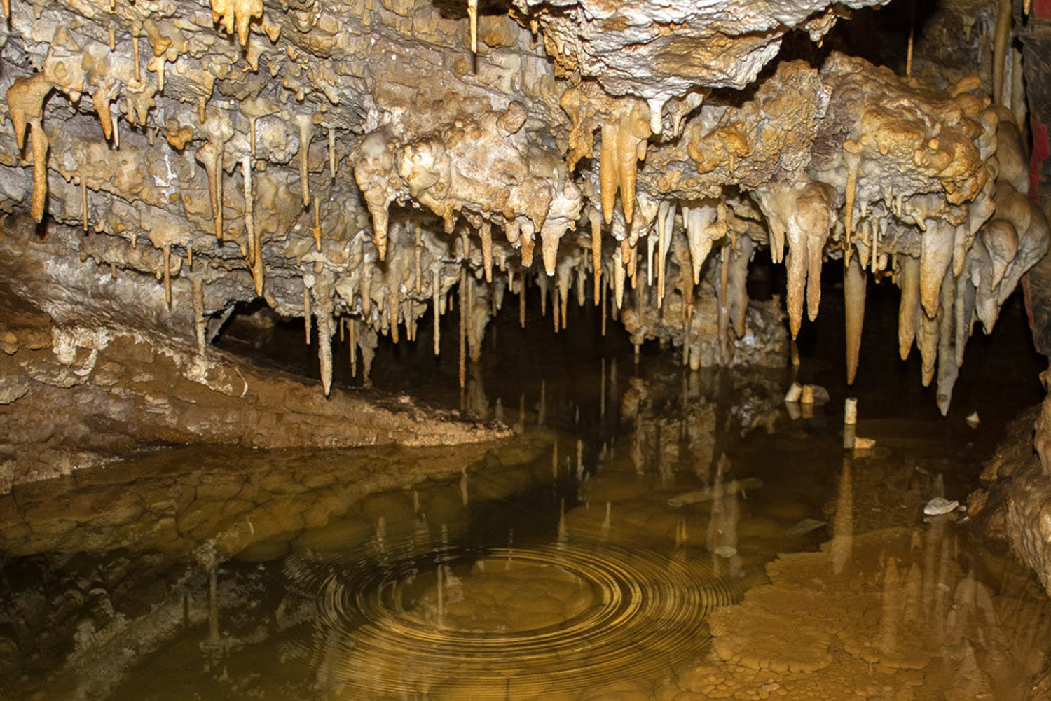 غار هامپوئیل،غاری با رازهای 200هزار ساله