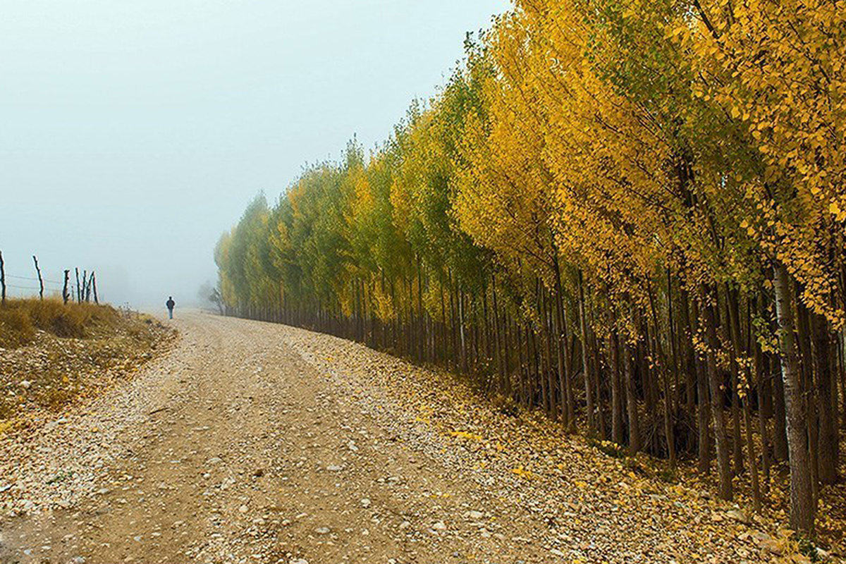 پاییز دلگشای پایتخت طبیعت ایران