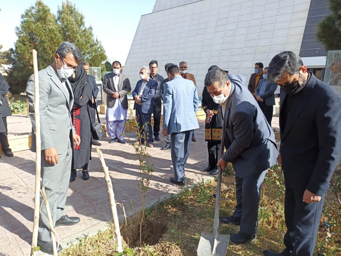 آئین درختکاری در موزه منطقه‌ای جنوب شرق کشور در زاهدان برگزار شد