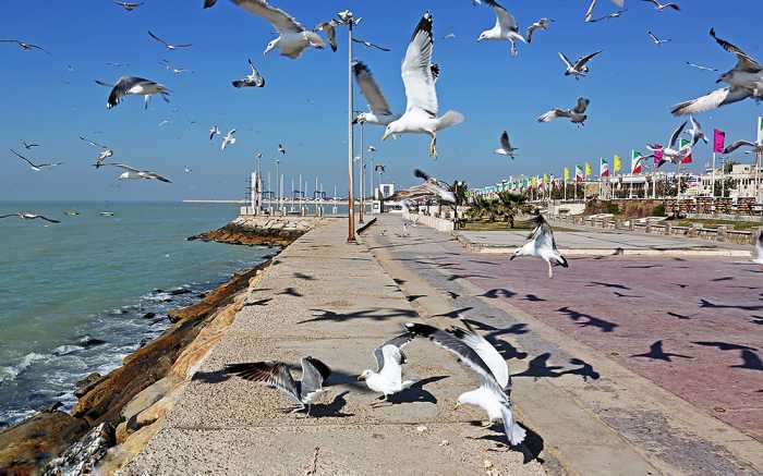 بوشهر یکی از مقاصد گردشگران جام جهانی قطر خواهد بود