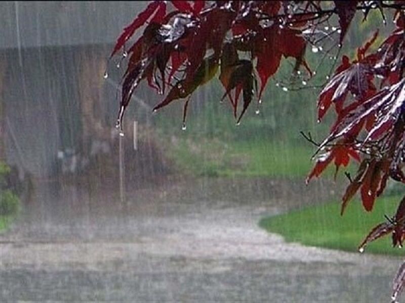 بارش باران در نقاط مختلف کشور/ خیزش گرد و خاک در شرق ایران