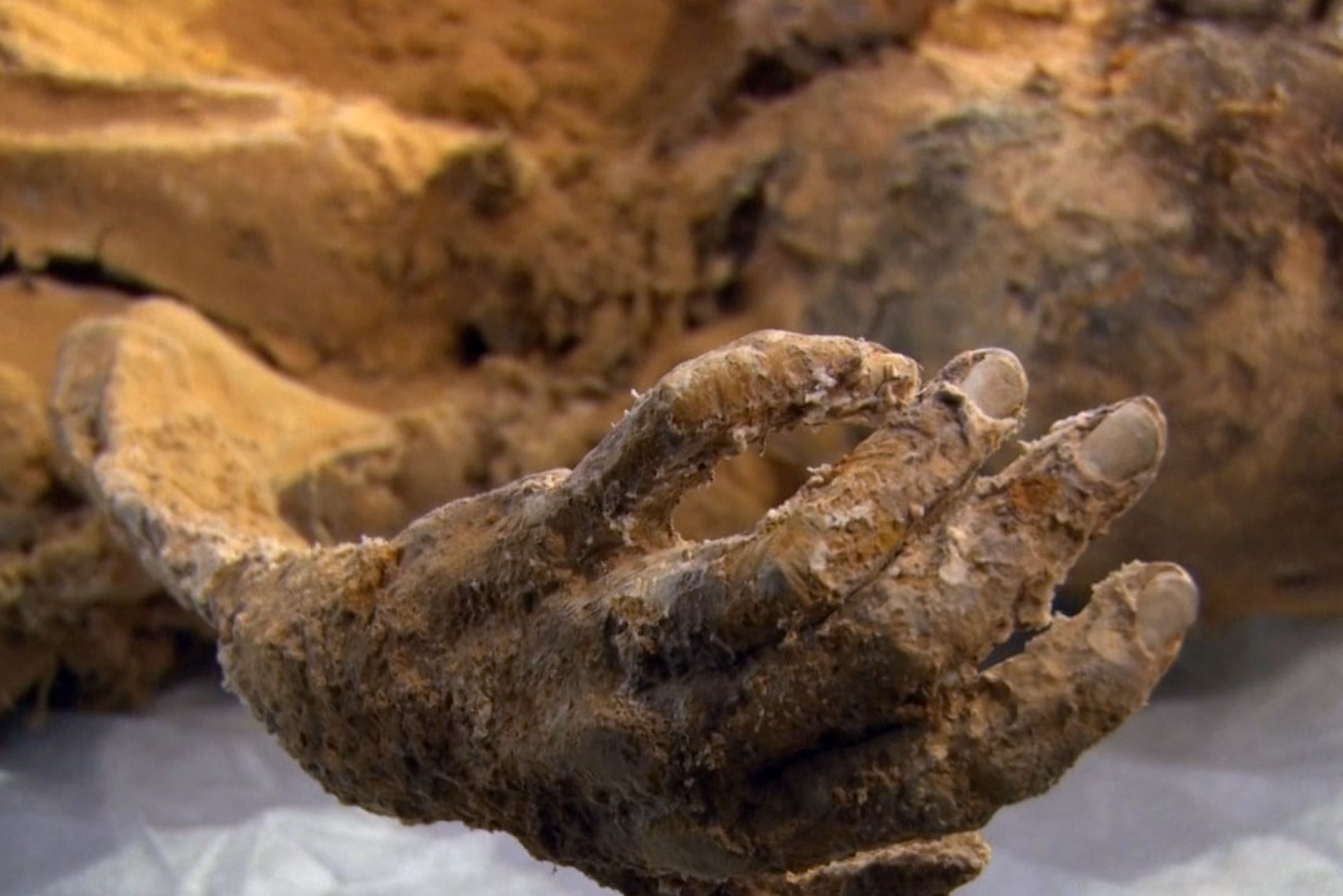 انتقال اجساد تاریخی کشف‌شده در معدن لاپلنگ به موزه تاریخ و تمدن زواره