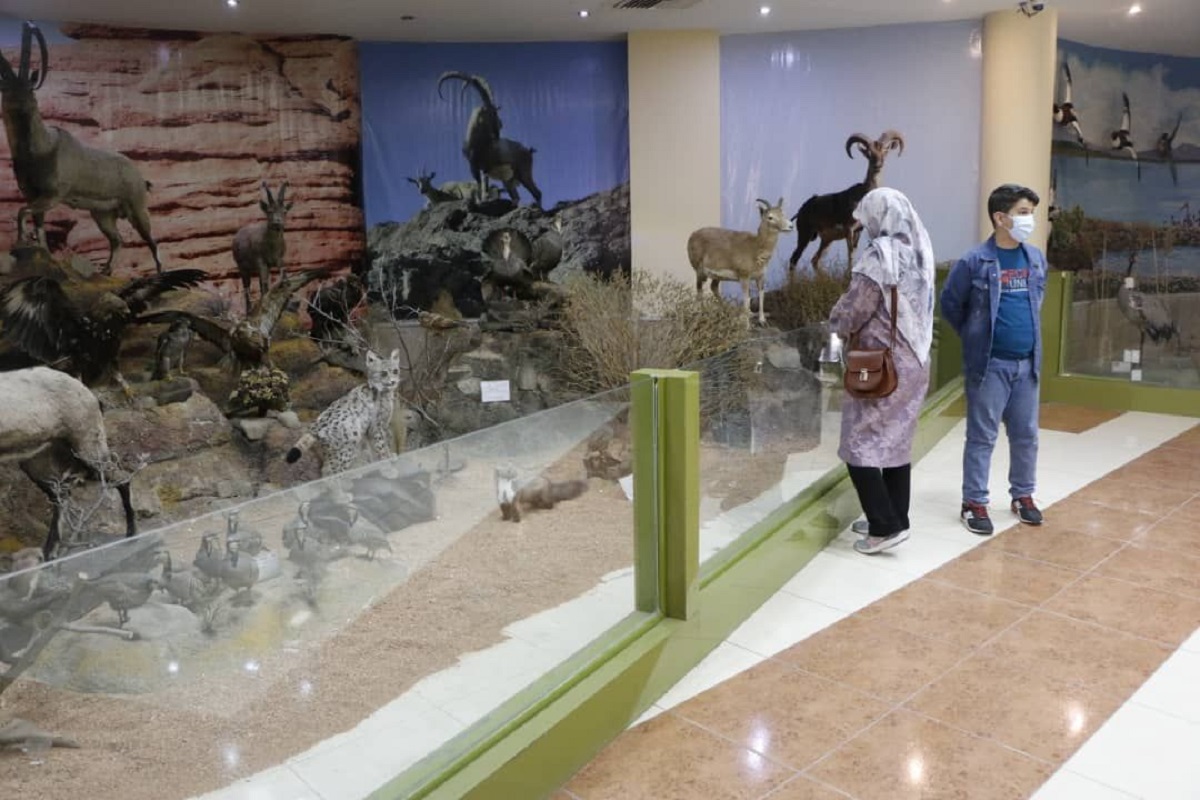بازدید مسافران  نوروزی از موزه تاریخ طبیعی ارومیه