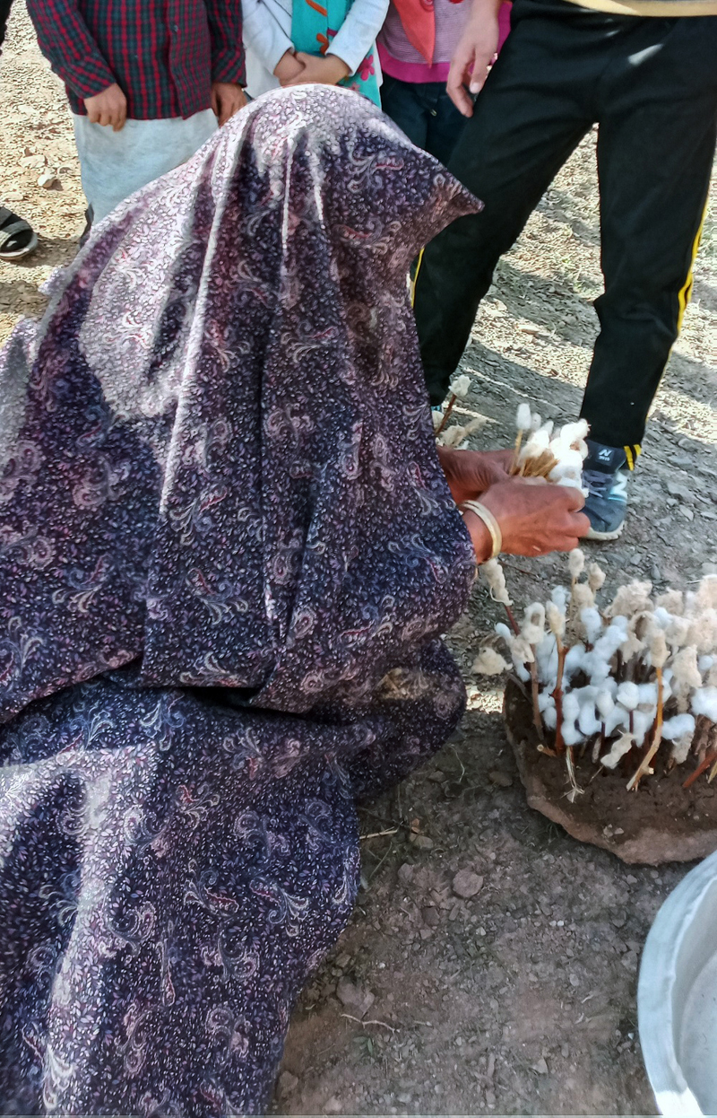 اجرای سنت بی‌بی‌گردی در روستای کارشک قاین