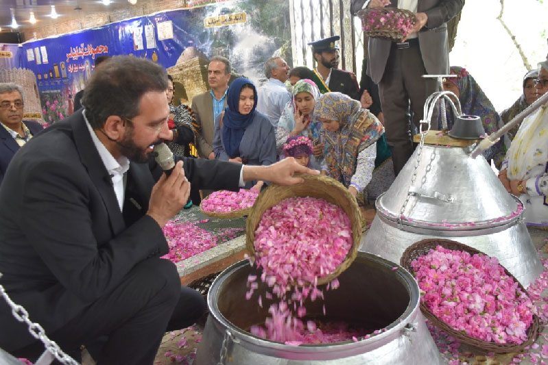 آغاز نوزدهمین جشنواره گل محمدی در شهر نیاسر