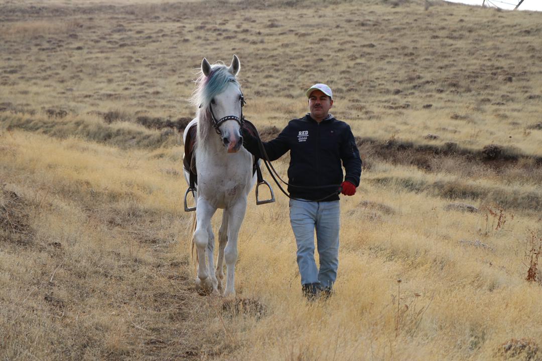 اسب کُرد گنجینه‌ای برای توسعه اکوتوریسم در کردستان