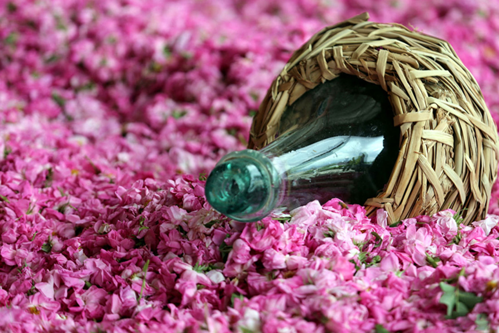 آیین سنتی نذر گلاب محرم در لنجان